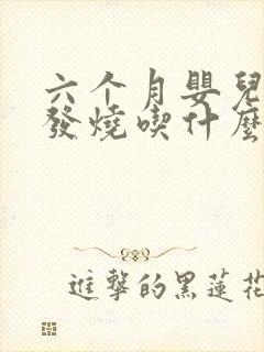 六个月婴儿感冒发烧吃什么药