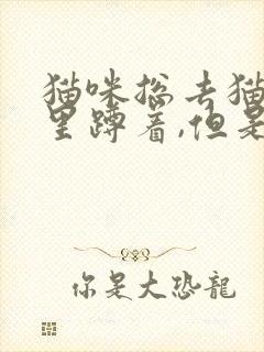 猫咪总去猫砂盆里蹲着,但是也没拉尿