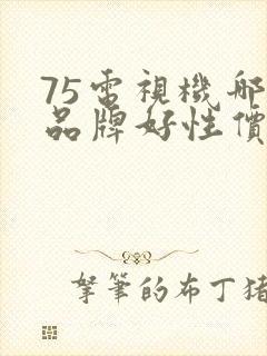 75电视机哪个品牌好性价比高