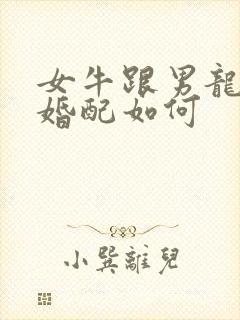女牛跟男龙属相婚配如何