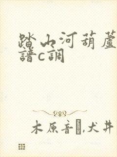 踏山河葫芦丝简谱c调