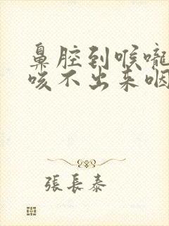 鼻腔到喉咙有痰咳不出来咽不下去封面