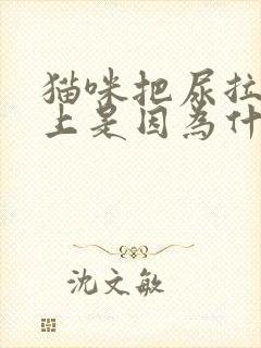 猫咪把尿拉在床上是因为什么封面