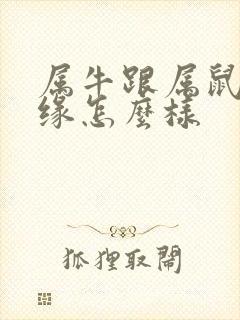 属牛跟属鼠的姻缘怎么样