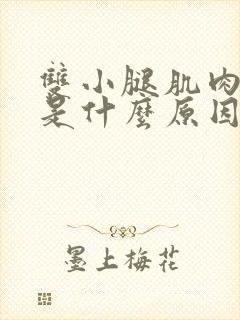 双小腿肌肉疼痛是什么原因