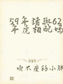 59年猪与62年虎相配吗