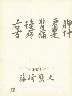 右后背肩胛骨下方疼痛是什么原因