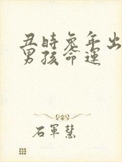 丑时兔年出生的男孩命运