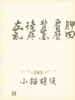 左后背肩胛骨吸气疼怎么回事