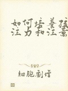 如何培养孩子专注力和注意力