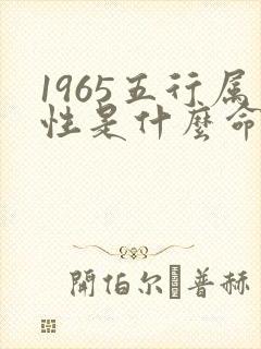 1965五行属性是什么命