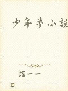 少年梦小说