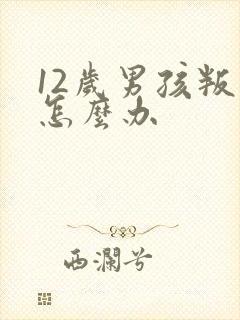 12岁男孩叛逆怎么办封面