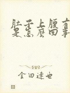 肚子上腹有硬块是怎么回事