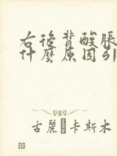 右后背酸胀女性什么原因引起的