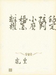 离婚小孩的抚养权怎么判定