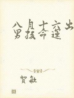 八月十六出生的男孩命运