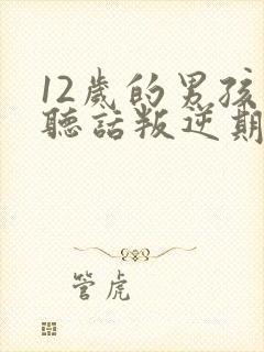 12岁的男孩不听话叛逆期怎么管理