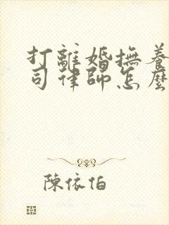 打离婚抚养权官司律师怎么收费封面