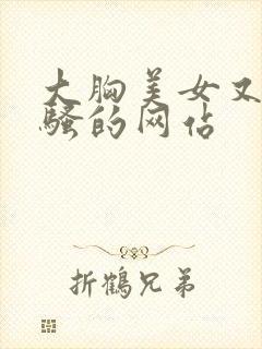 大胸美女又黄又骚的网站