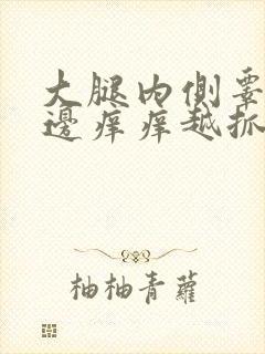 大腿内侧睾丸旁边痒痒越抓越痒有小红疙瘩