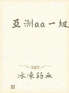 亚洲aa一级片