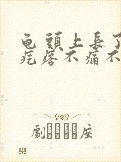 龟 头上长了小疙瘩不痛不痒