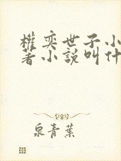 权奕世子小说原著小说叫什么名字