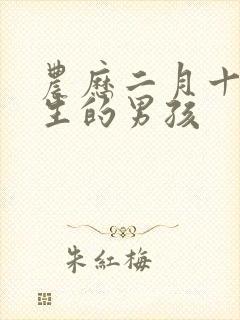 农历二月十九出生的男孩