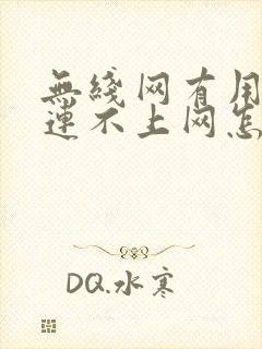 无线网有用电脑连不上网怎么回事封面