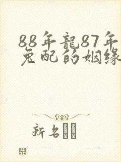 88年龙87年兔配的姻缘怎么样