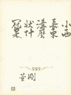 冠状沟长小肉粒是什么东西