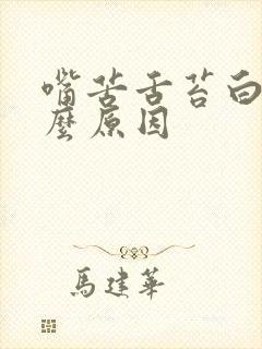 嘴苦舌苔白腻什么原因