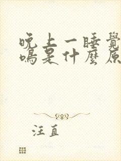 晚上一睡觉就耳鸣是什么原因