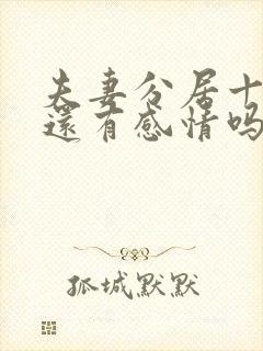 夫妻分居十几年还有感情吗封面