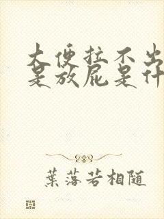 大便拉不出来就是放屁是什么原因