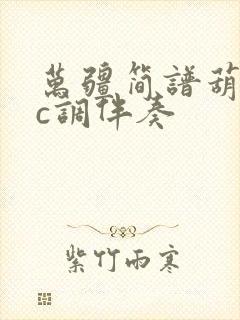 万疆简谱葫芦丝c调伴奏