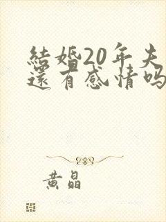 结婚20年夫妻还有感情吗