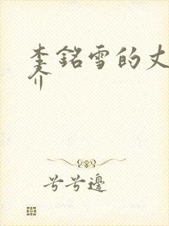 李铭雪的丈夫简介