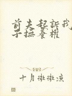 前夫起诉我要孩子抚养权封面