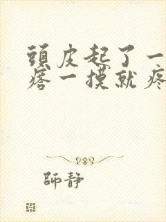 头皮起了一个疙瘩一摸就疼