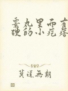 睾丸里面有个硬硬的小疙瘩不痛不痒