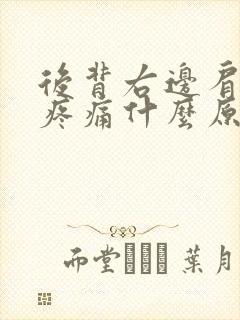 后背右边肩胛骨疼痛什么原因