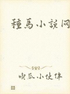 种马小说网