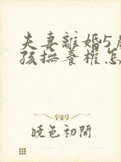 夫妻离婚5岁小孩抚养权怎么判