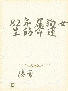 82年属狗女一生的命运封面
