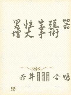 男性生殖器延长增大手术