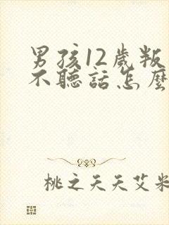 男孩12岁叛逆不听话怎么办