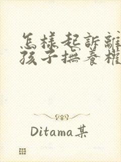 怎样起诉离婚的孩子抚养权