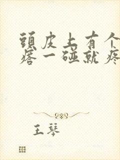 头皮上有个小疙瘩一碰就疼